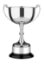Picture of Prestige Cambridge Award