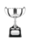 Picture of Endurance Award 12.5cm