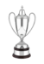 Picture of Ultimate Vintage Award Complete 20.5cm