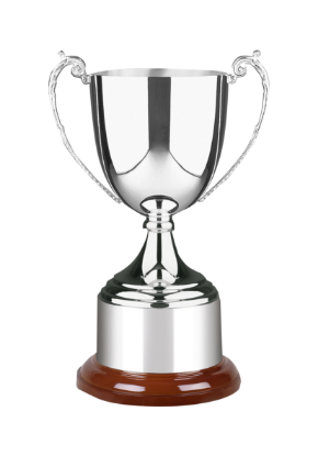 Picture of Advocate Award - Style A