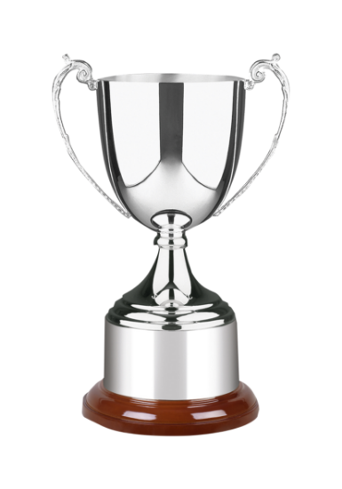 Picture of Advocate Award - Style A