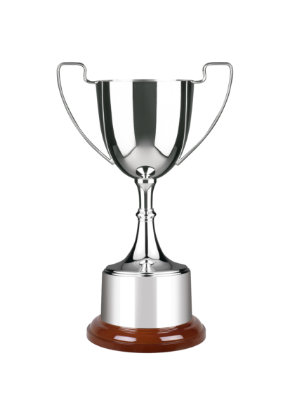 Picture of Advocate Award - Style B