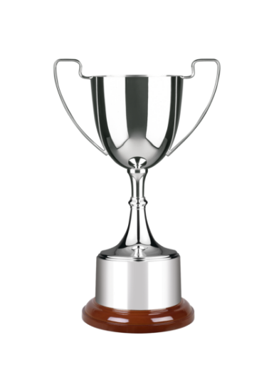 Picture of Advocate Award - Style B