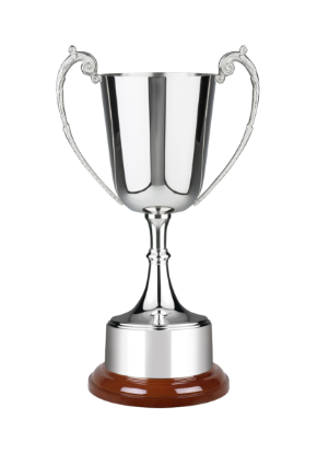 Picture of Advocate Award - Style C
