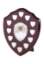 Picture of Perpetual Shield Award - 12 Side Shields 10cm
