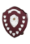 Picture of Perpetual Shield Award - Scroll & 11 Side Shields 14cm